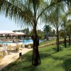 Giardino con palme vicino alla piscina.