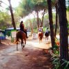 Persone a cavallo lungo un sentiero ombreggiato da alberi.